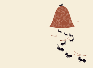 5-La colonie de fourmis